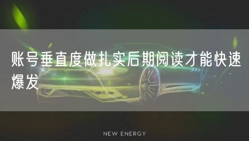 账号垂直度做扎实后期阅读才能快速爆发