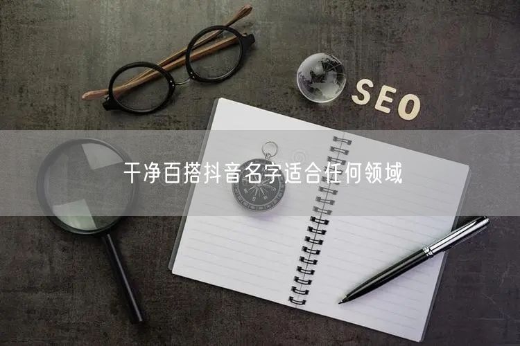 干净百搭抖音名字适合任何领域