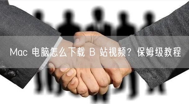 Mac 电脑怎么下载 B 站视频？保姆级教程