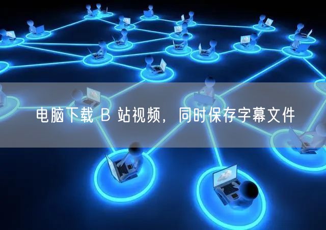 电脑下载 B 站视频，同时保存字幕文件