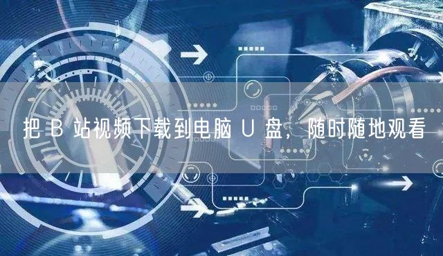 把 B 站视频下载到电脑 U 盘，随时随地观看