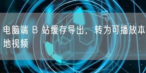 电脑端 B 站缓存导出，转为可播放本地视频