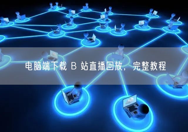 电脑端下载 B 站直播回放，完整教程