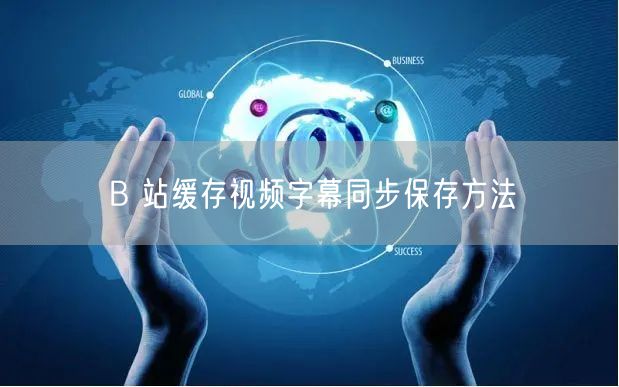 B 站缓存视频字幕同步保存方法