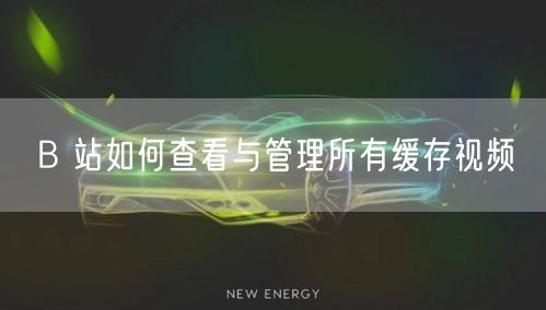 B 站如何查看与管理所有缓存视频