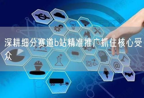 深耕细分赛道b站精准推广抓住核心受众