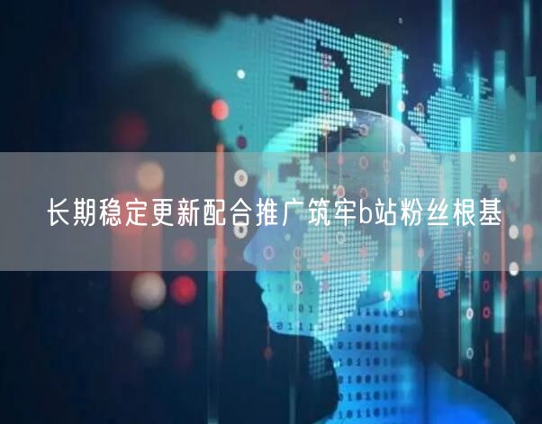 长期稳定更新配合推广筑牢b站粉丝根基
