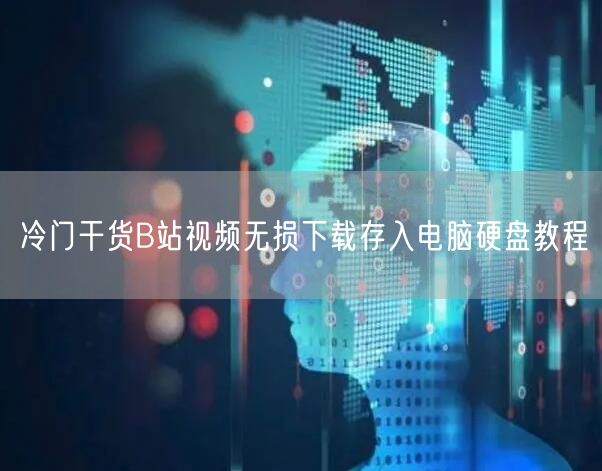 冷门干货B站视频无损下载存入电脑硬盘教程